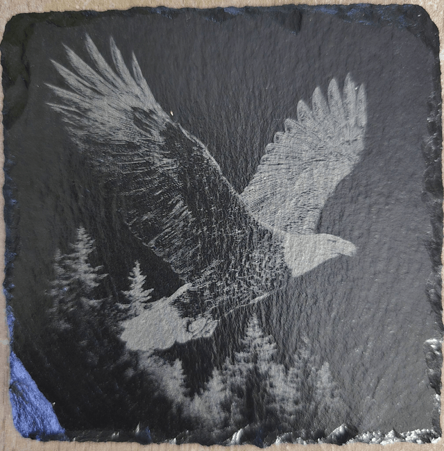 Animaux et rapaces de la forêt