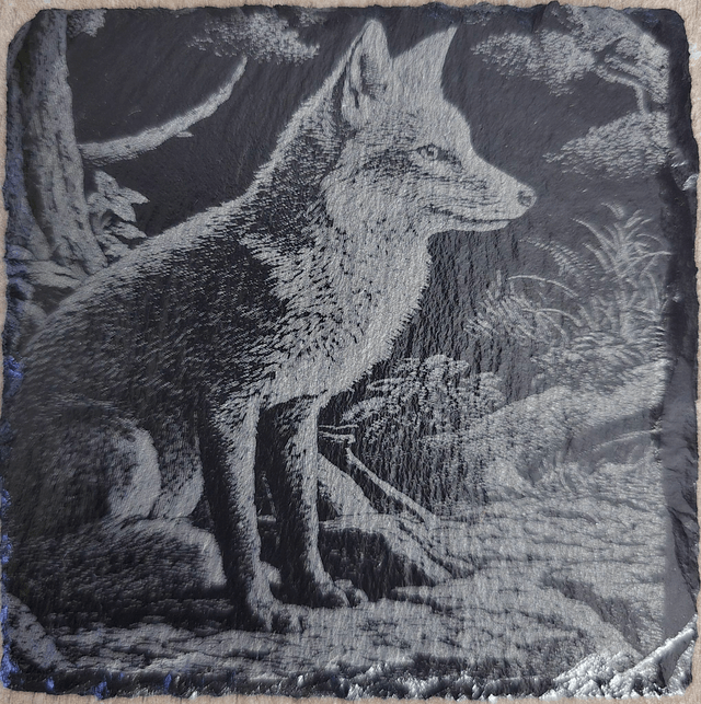 Animaux et rapaces de la forêt