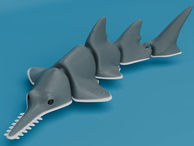 Requin scie articulé