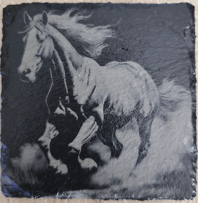 Chevaux