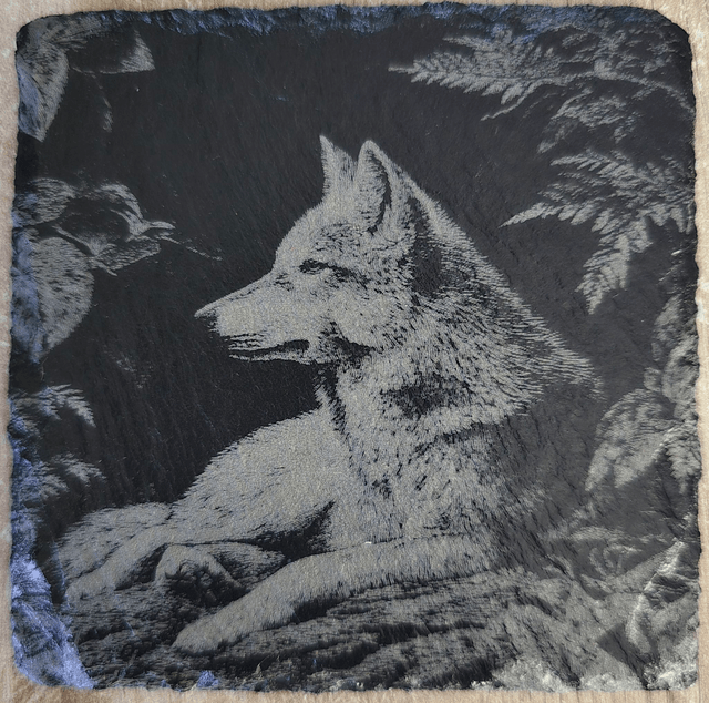 Animaux et rapaces de la forêt