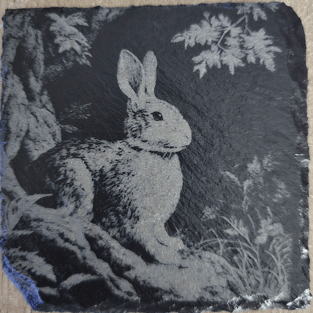 Animaux et rapaces de la forêt