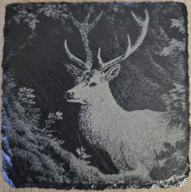 Animaux et rapaces de la forêt