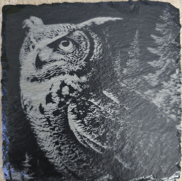 Animaux et rapaces de la forêt
