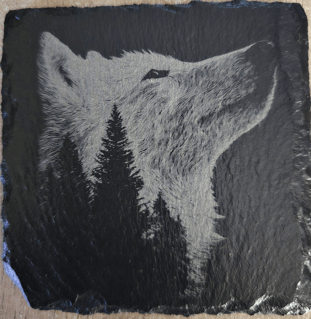 Animaux et rapaces de la forêt
