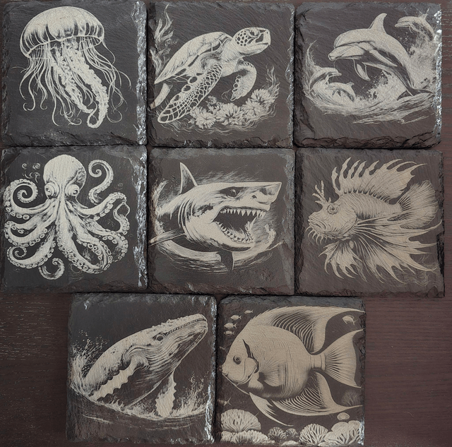 Animaux et plantes de l'océan