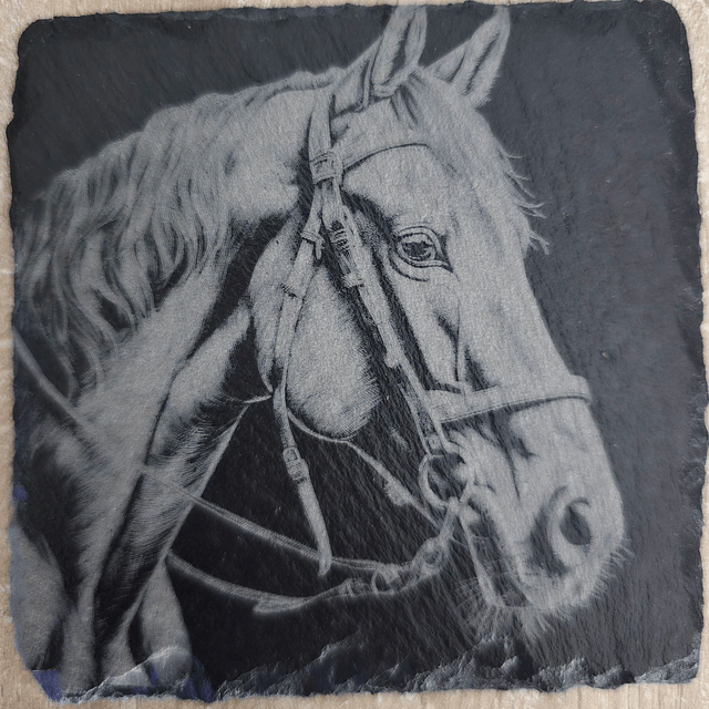 Chevaux